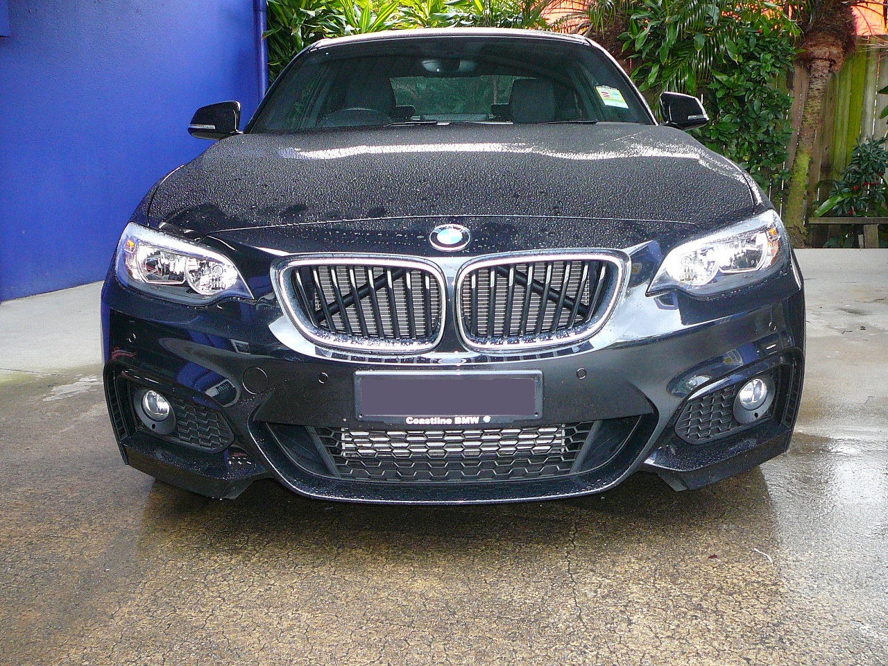 BMW 220i 2015, Front Parking Sensors & Dynamic Line Reverse Camera System Installation